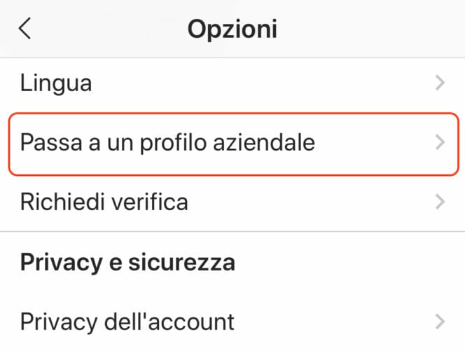 instagram profilo aziendale